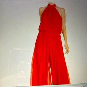 Meghan LA Wild Orchid Pleat Jumpsuit